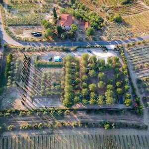 Agricamping Poggio Ai Pini Wine Camping Certaldo